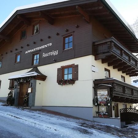 Appartements Auernigg Kaprun Exteriér fotografie
